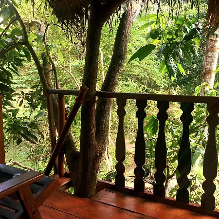 Tree House-Midigama Villa Weligama Exterior photo