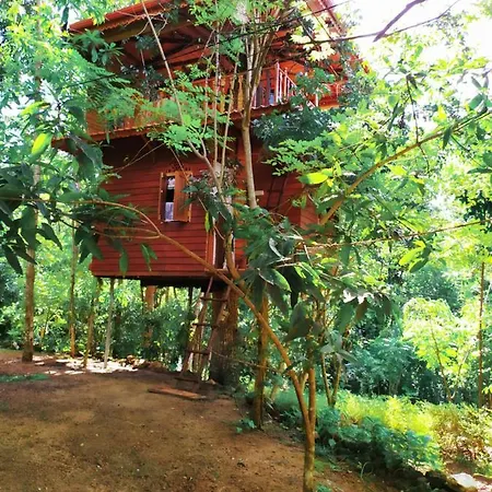 Tree House-Midigama Villa Weligama Exterior photo
