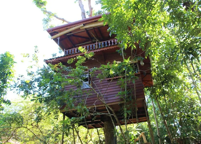Tree House-Midigama