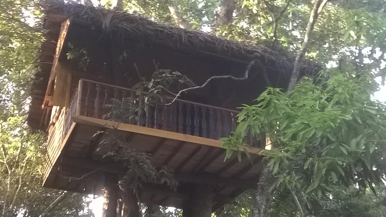 Tree House-midigama *
