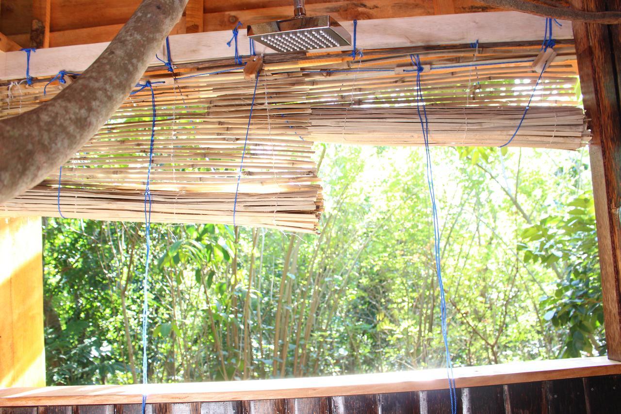 Tree House-midigama
