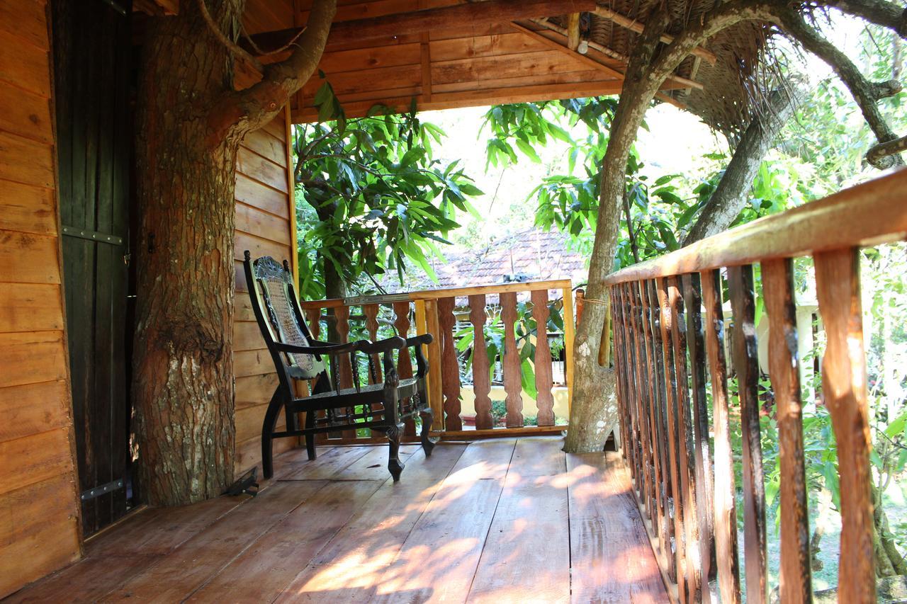 Chalet Tree House-midigama