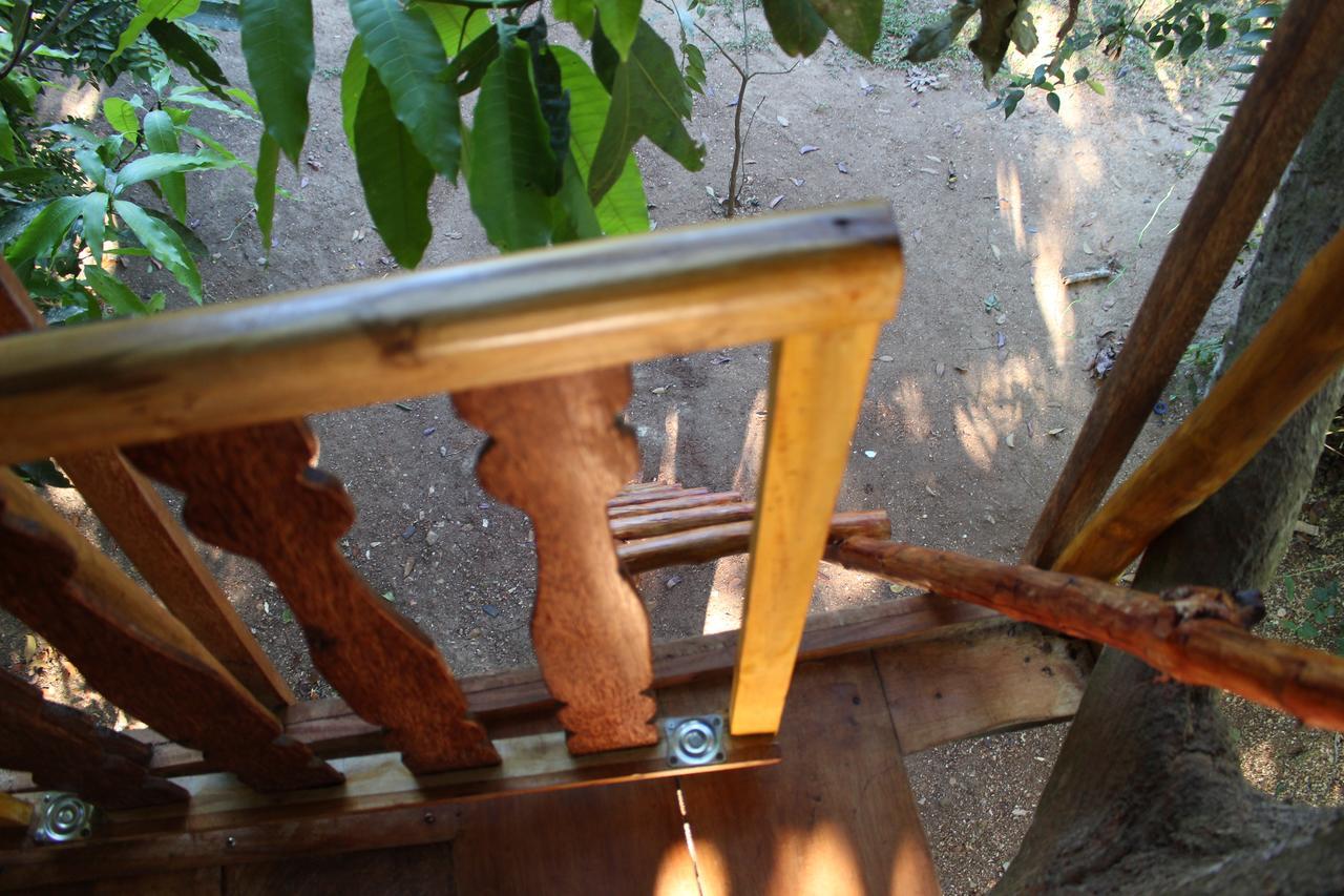 Chalet Tree House-midigama Weligama