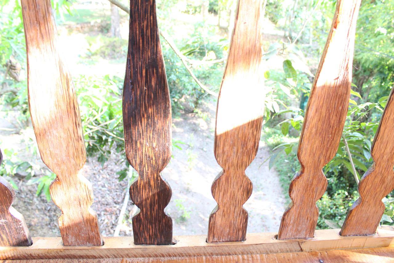 Tree House-midigama Chalet