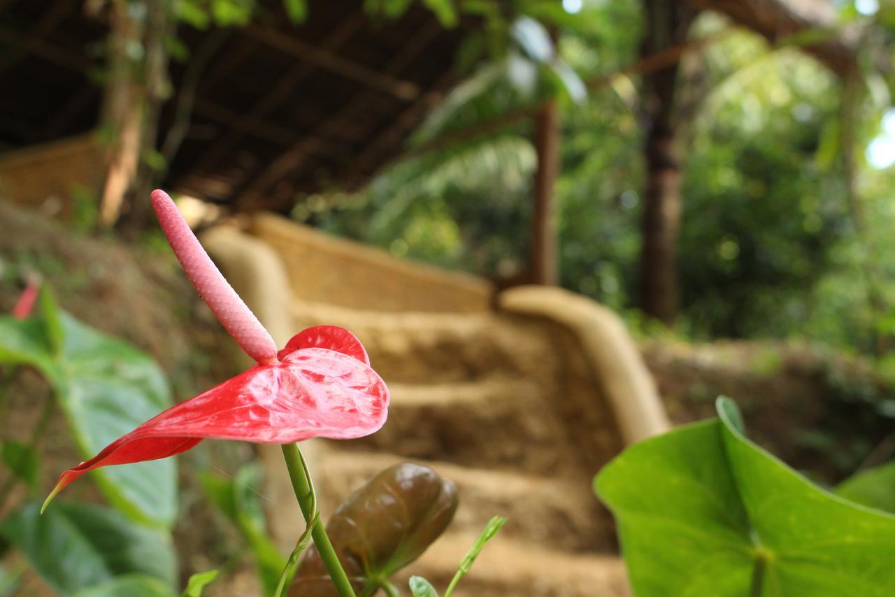 Tree House-midigama Chalet *