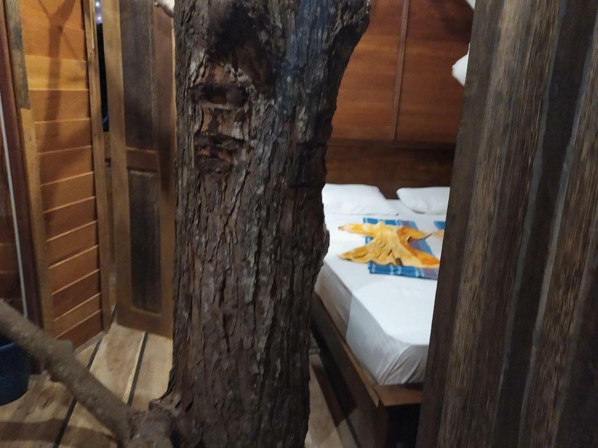 Chalet Tree House-midigama
