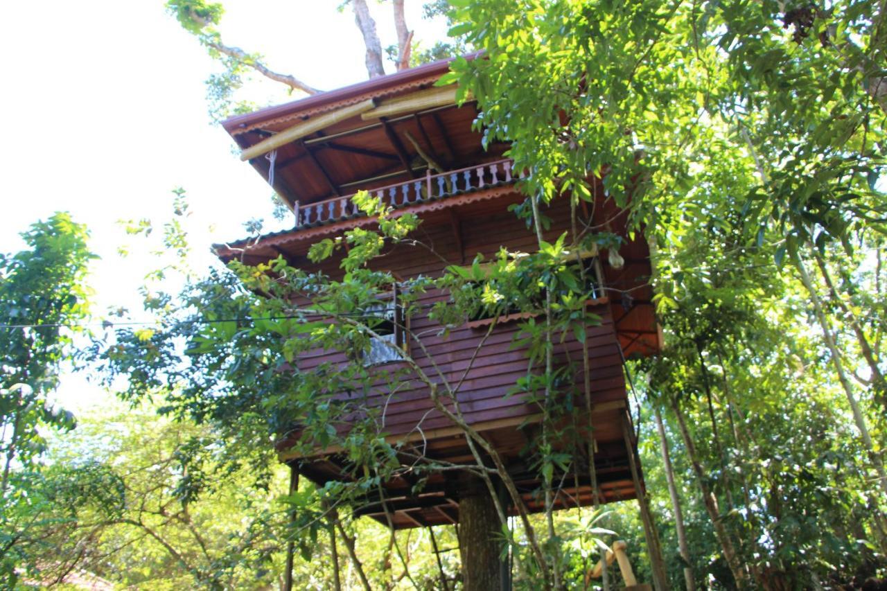 Tree House-midigama * Weligama