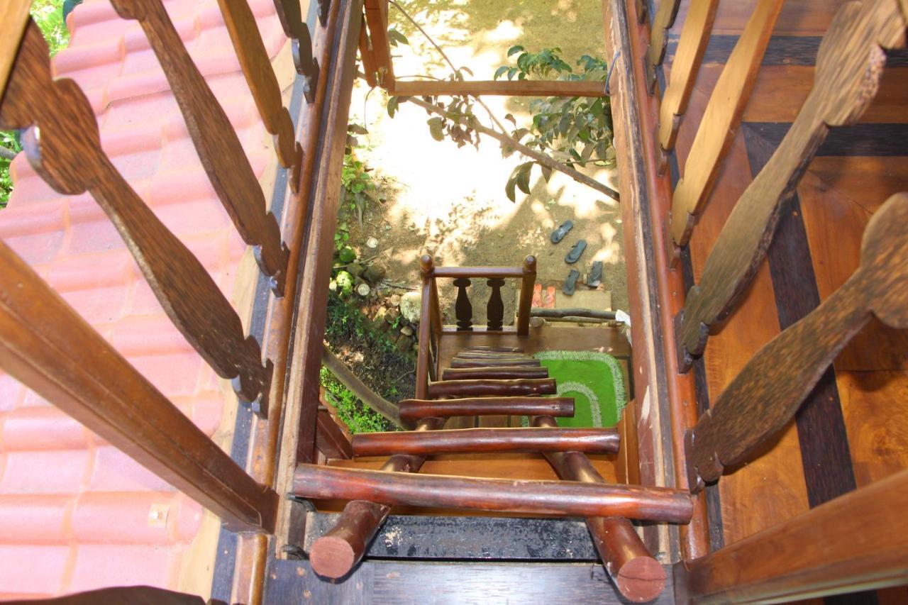 Chalet Tree House-midigama Weligama