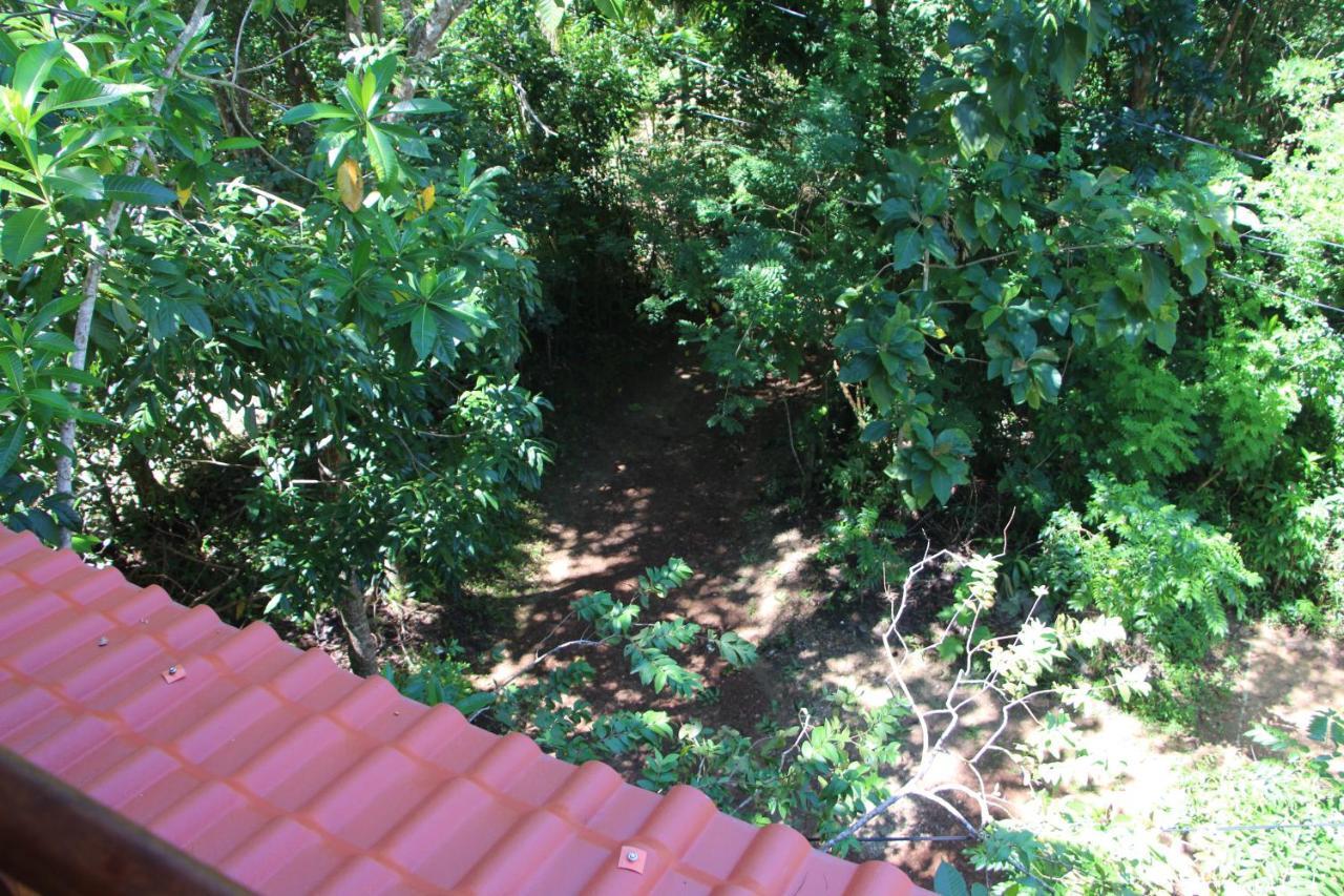 Chalet Tree House-midigama Weligama