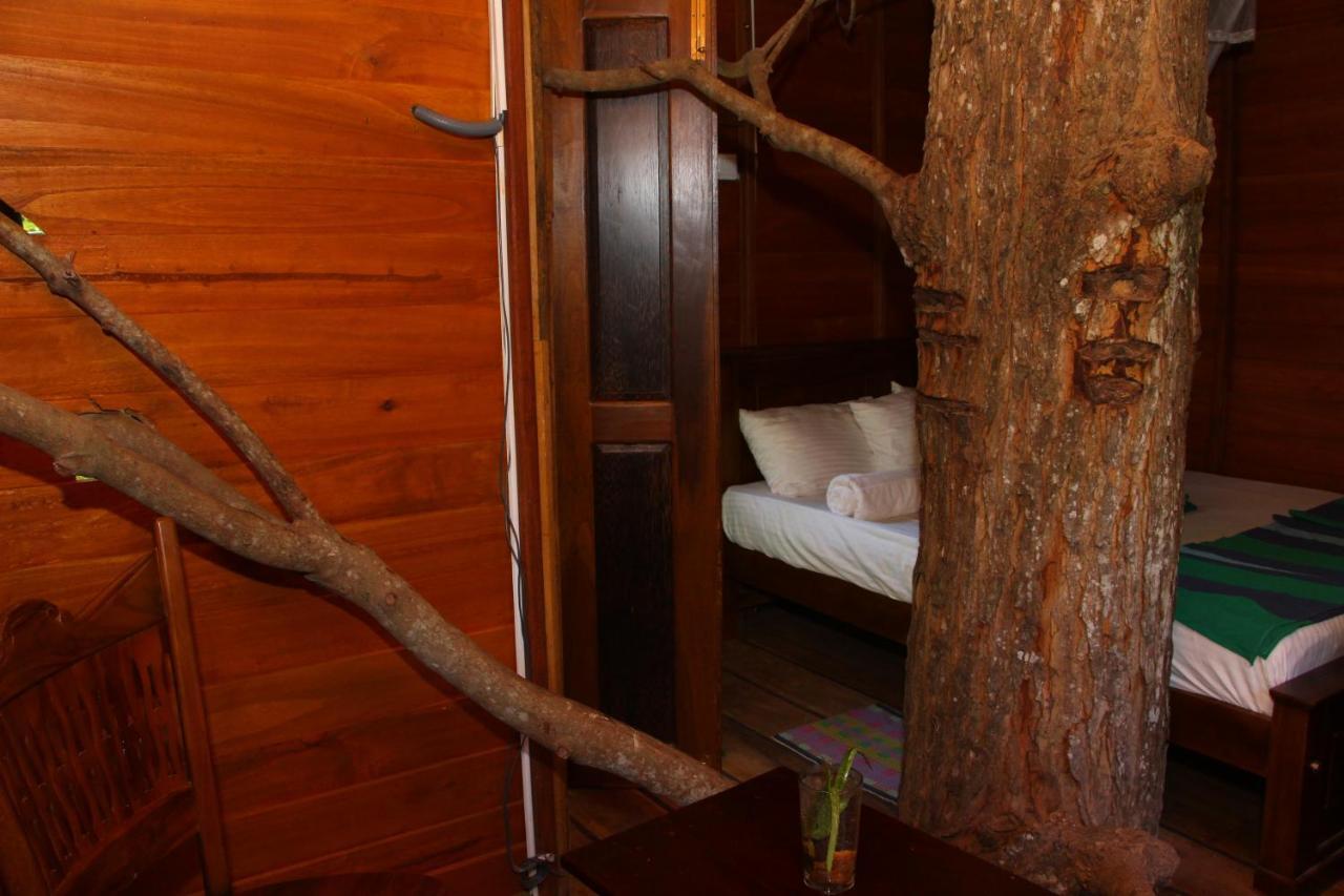 Chalet Tree House-midigama